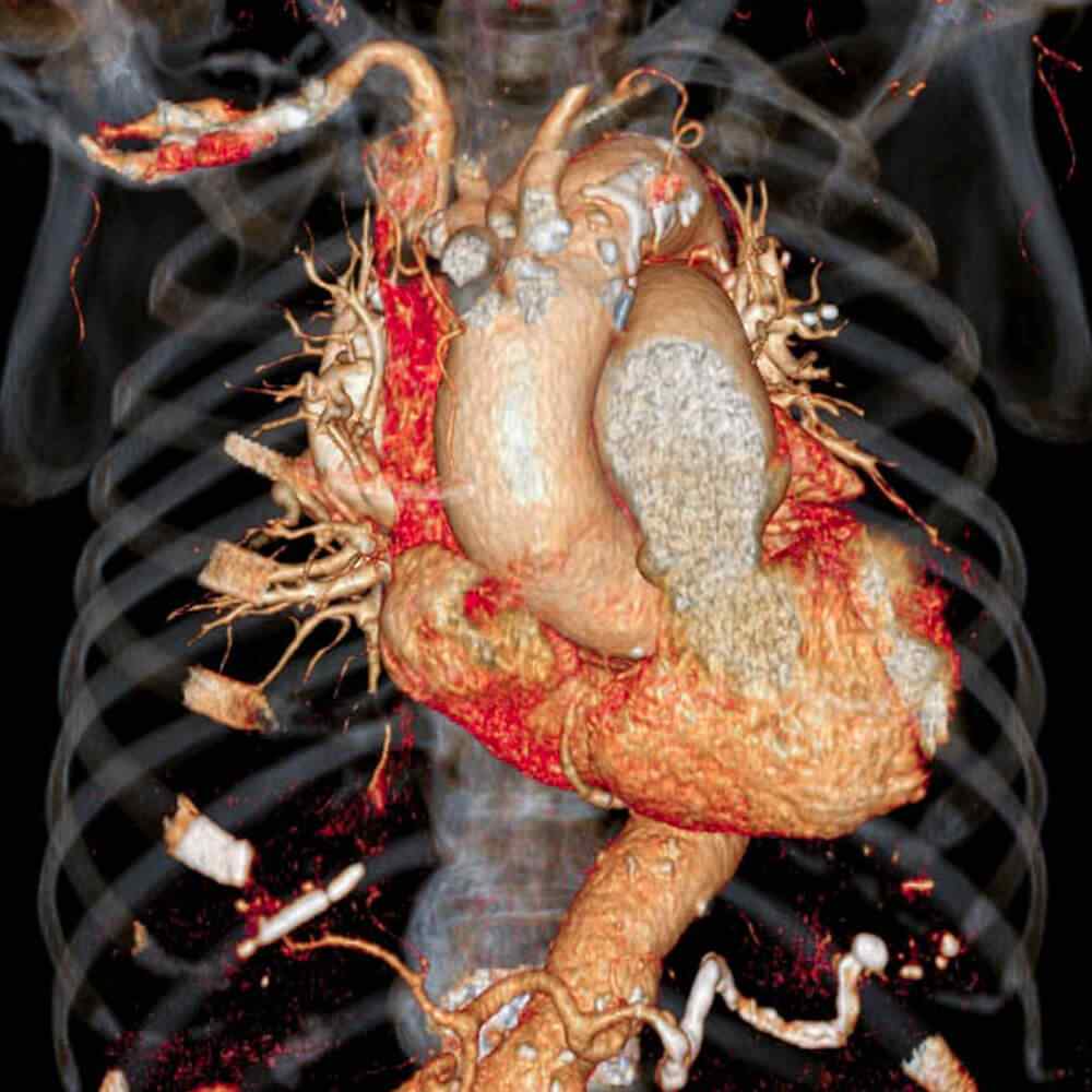 https://drsamdany.com/wp-content/uploads/2021/08/inner_image_03.jpg